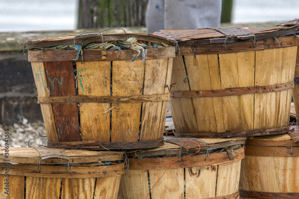 blue crabs peeking out from under the lid of bushel baskets piled up on the dock Stock Photo