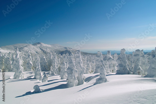 蔵王山の樹氷