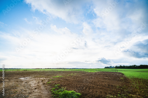 Fototapeta Naklejka Na Ścianę i Meble -  Rural landscape with tractor tracks