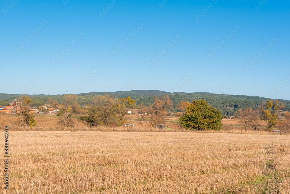 Obraz premium Hay bail truck crossing near dry hay field clear cut path warm color bulgaria rural landscape sun day clear blue sky
