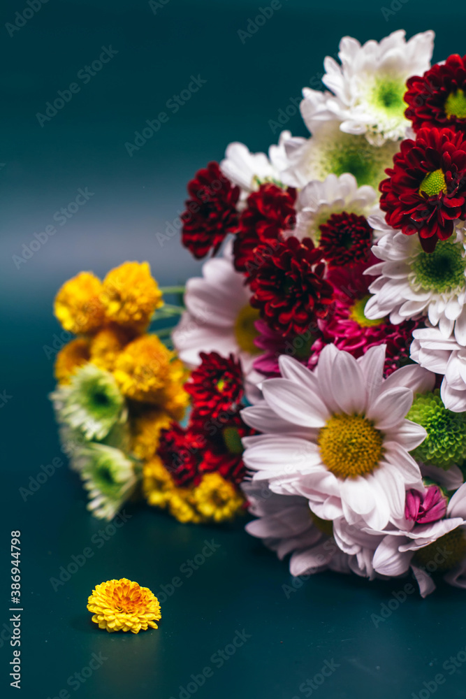 bouquet of colorful asters on a dark green background