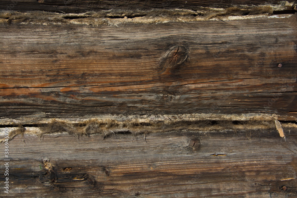 Naklejka premium wood texture
