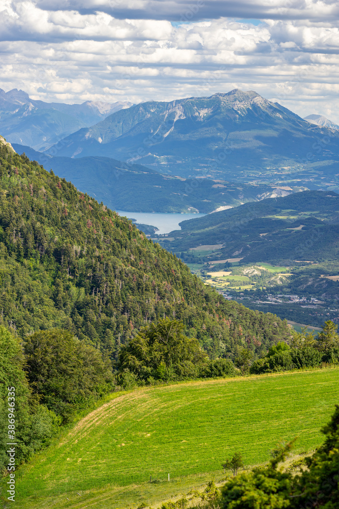 Naklejka premium Alpage en été