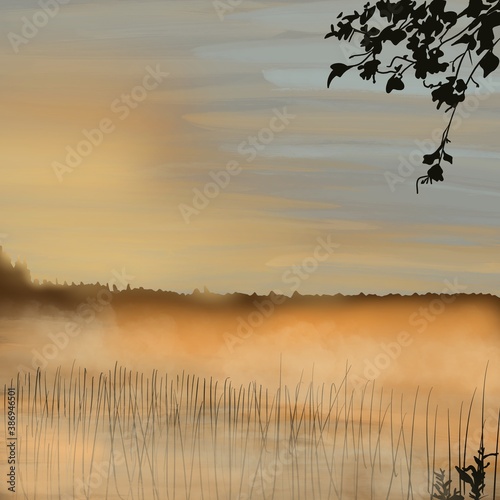 Foggy morning on the lake. landscape.