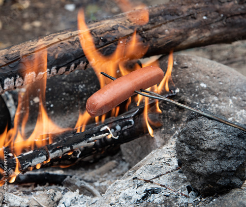 Hot Dogs Roasting on Stick Over Open Flames of a Campfire