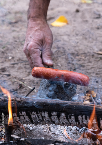 Hot Dog Roasting on Stick Over Open Flames of a Campfire with Hand Adjusting the Roasting Stick