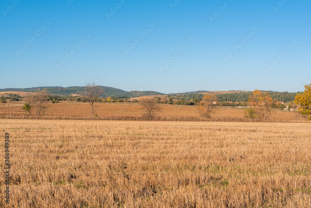 Dry hay field with a clear cut path warm color bulgaria rural landscape sun day clear blue sky
