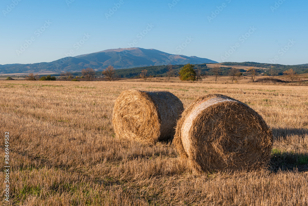 Dry hay field with a clear cut path warm color bulgaria rural landscape sun day clear blue sky