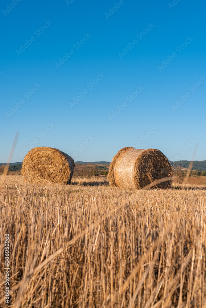 Hay straw field golden close-up beautiful summer rural sun landscape bulgaria perspective creative