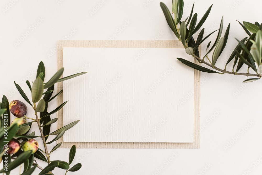 Blank paper and olive branches