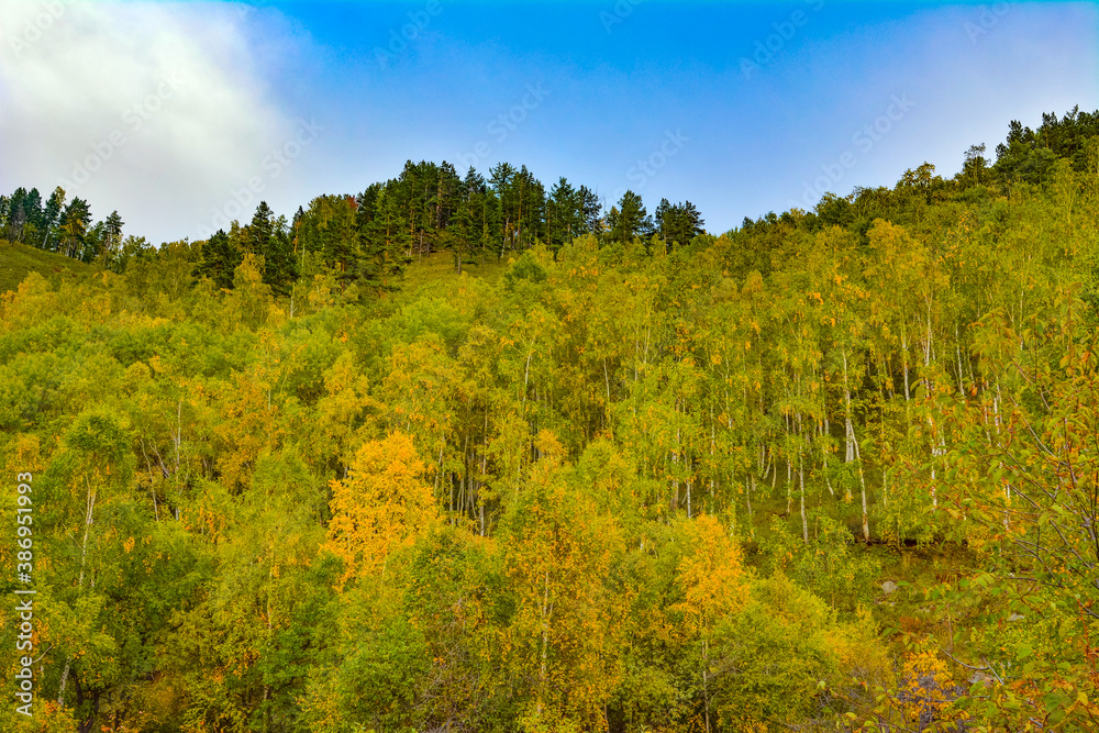 autumn landscape on a hillside in Transbaikalia