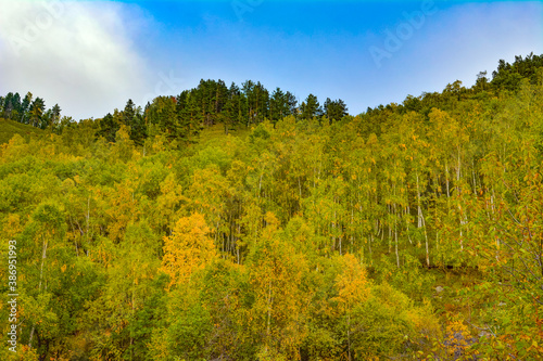 Fototapeta Naklejka Na Ścianę i Meble -  autumn landscape on a hillside in Transbaikalia