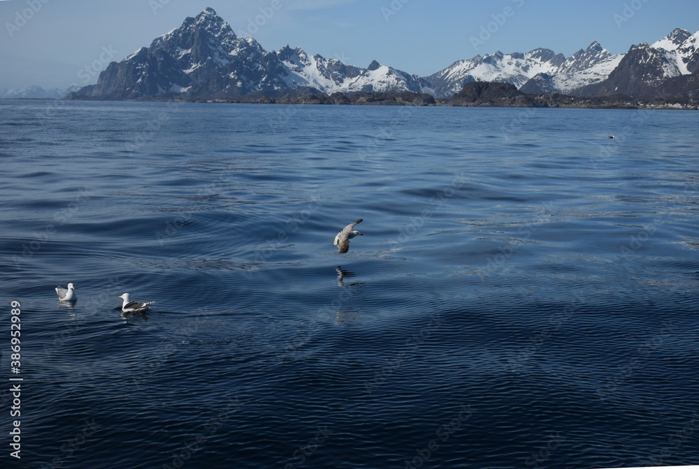 Obraz premium Sea and mountain