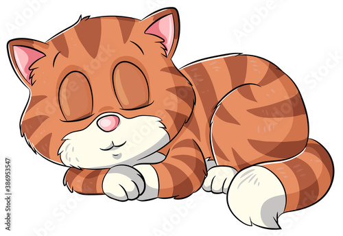 Niedliche schlafende Katze - Vektor-Illustration