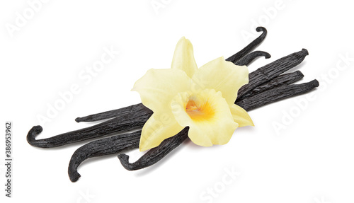 Vanilla flower with sticks isolated on white background