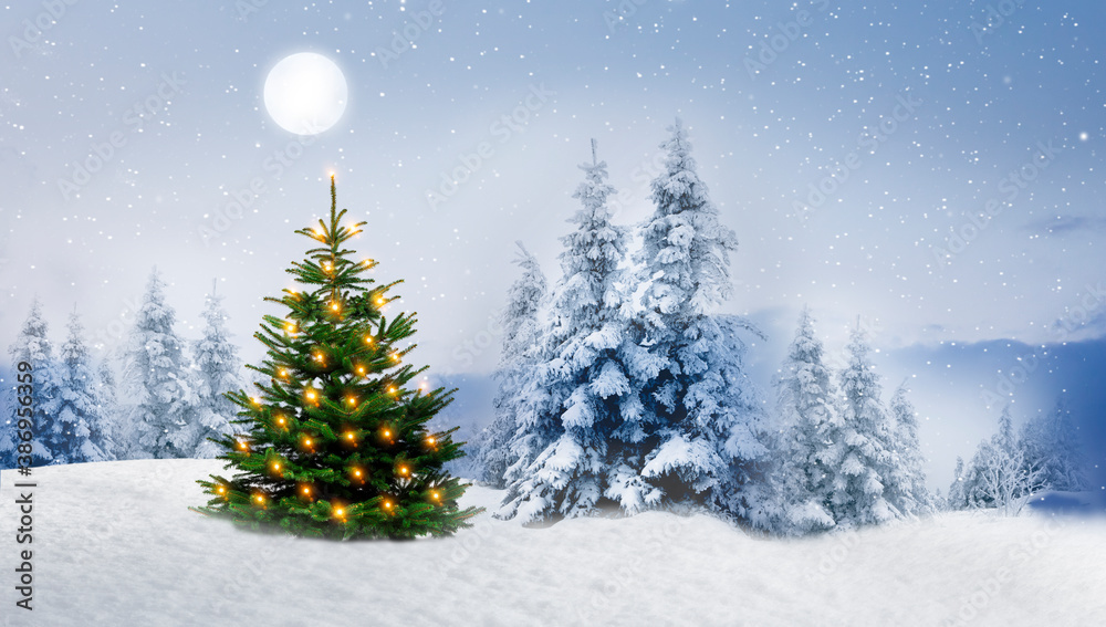 Glänzender Weihnachtsbaum in einem Verschneiten Winterwald