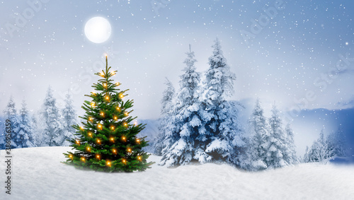 Glänzender Weihnachtsbaum in einem Verschneiten Winterwald © by-studio