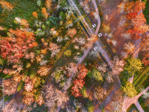Autumn park top aerial view