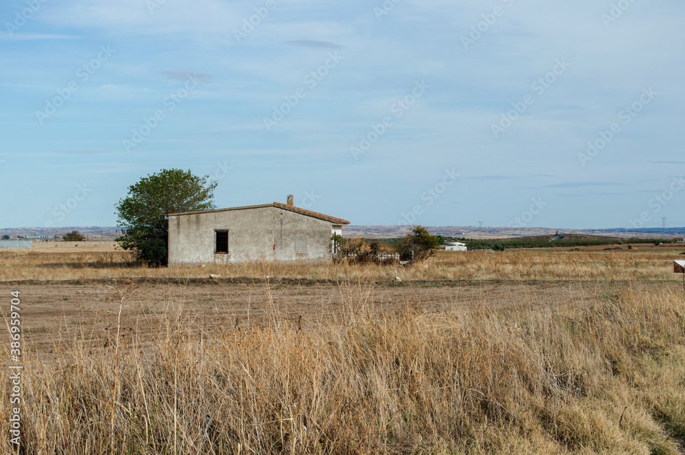 dry field with abandoned house next to a tree in the province of Toledo. Spain