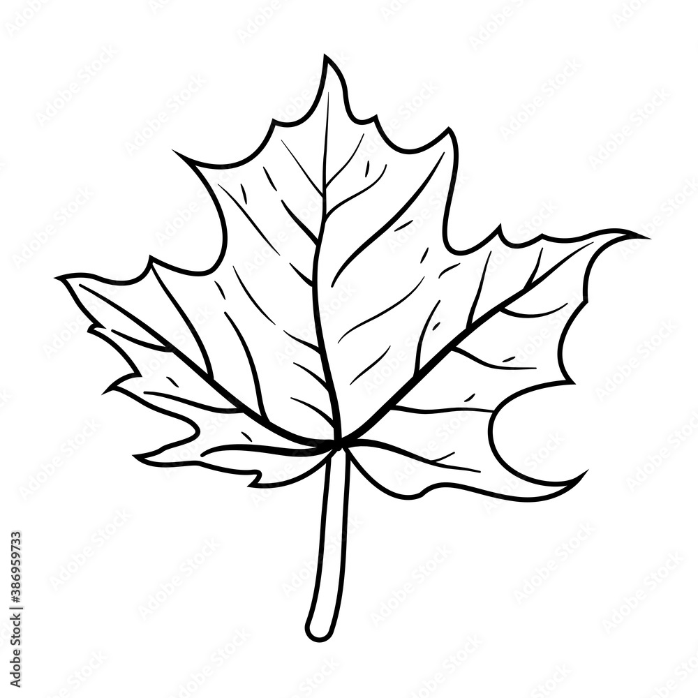 Naklejka premium autumn maple leaf nature icon