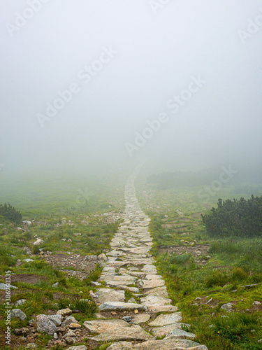 path in the fog