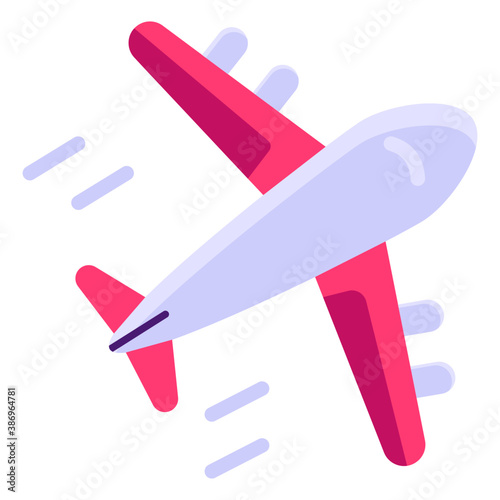 Flight 