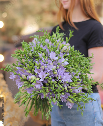 Woman holding big beautiful blossoming mono bouquet of fresh purple freesia flowers. Fresh purple freesia bouquet. Beautiful flowers