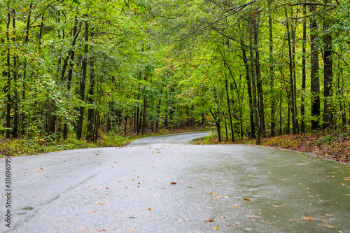 a smooth paved road to nowhere in the forest surrounded by overhanging lush green trees at Sweetwater Creek State Park in Lithia Springs Georgia photo