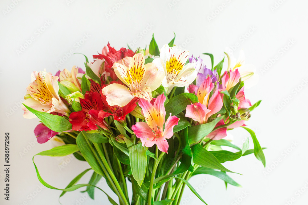 A bouquet of multicolored flowers against a grey wall A bouquet of multicolored flowers against a grey wall