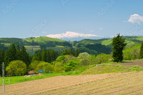 田園