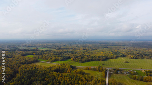 Aerial view of the autumn European forest with yellow and green trees