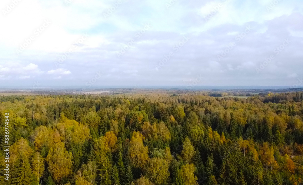 Aerial view of the autumn European forest with yellow and green trees