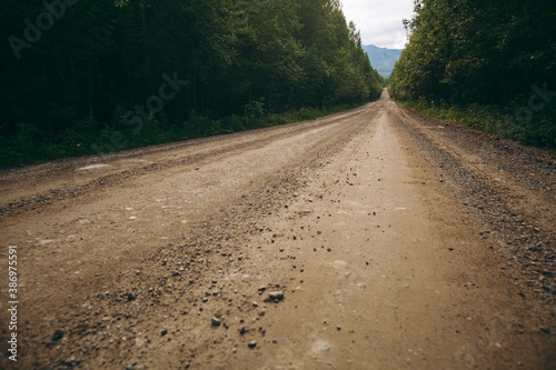 Summer dirt road passes through the forest  country road in the taiga  the path goes into the distance  summer landscape  emptiness  calm  silence