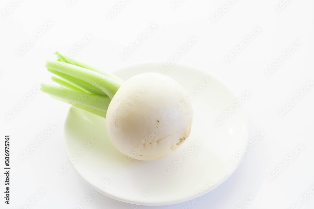 白かぶ 白かぶ
