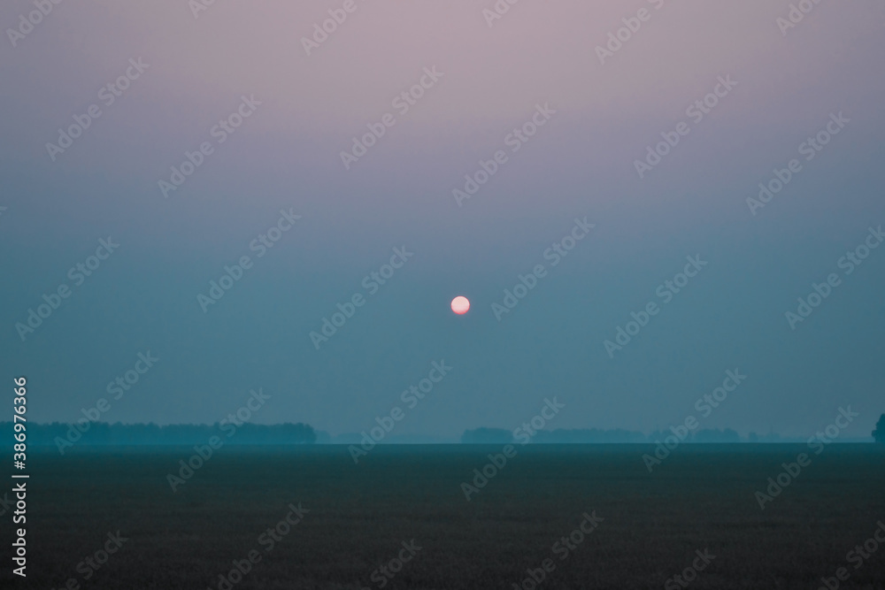 Bright round disk of setting red sun in purple pink sky over green field with trees on horizon in blue air haze in the evening, dusk Bright round disk of setting red sun in purple pink sky over green field with trees on horizon in blue air haze in the evening, dusk