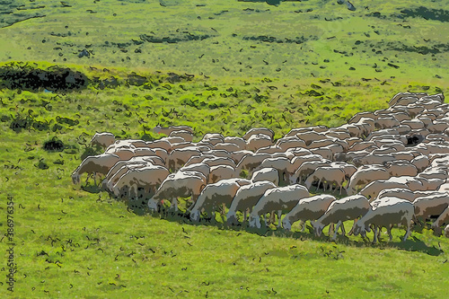 graphic illustration of a flock of sheep grazing