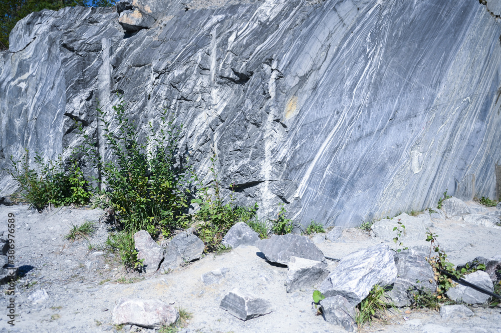 Rock cut raw surface of white and grey marble in the natural environment with trees and blue sky. Blue marble career texture. Background stone, industrial material for buildings and interior. Rock cut raw surface of white and grey marble in the natural environment with trees and blue sky. Blue marble career texture. Background stone, industrial material for buildings and interior.