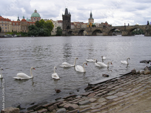 charles bridge city