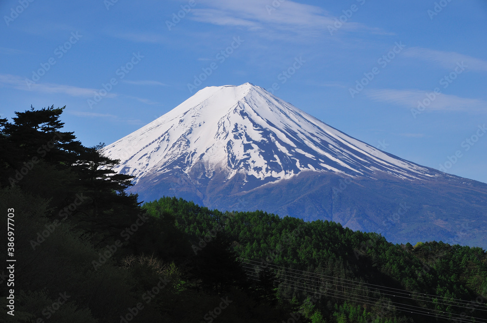 Fototapeta premium 富士山