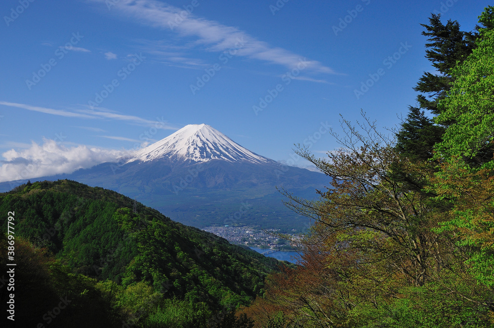 富士山