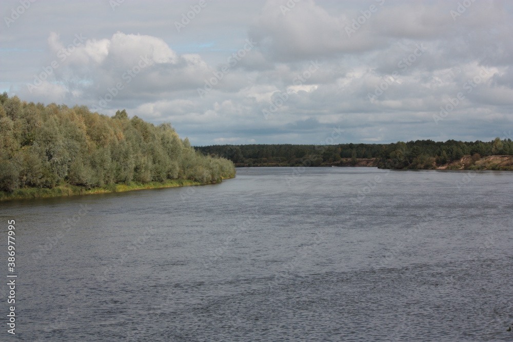 river in the woods