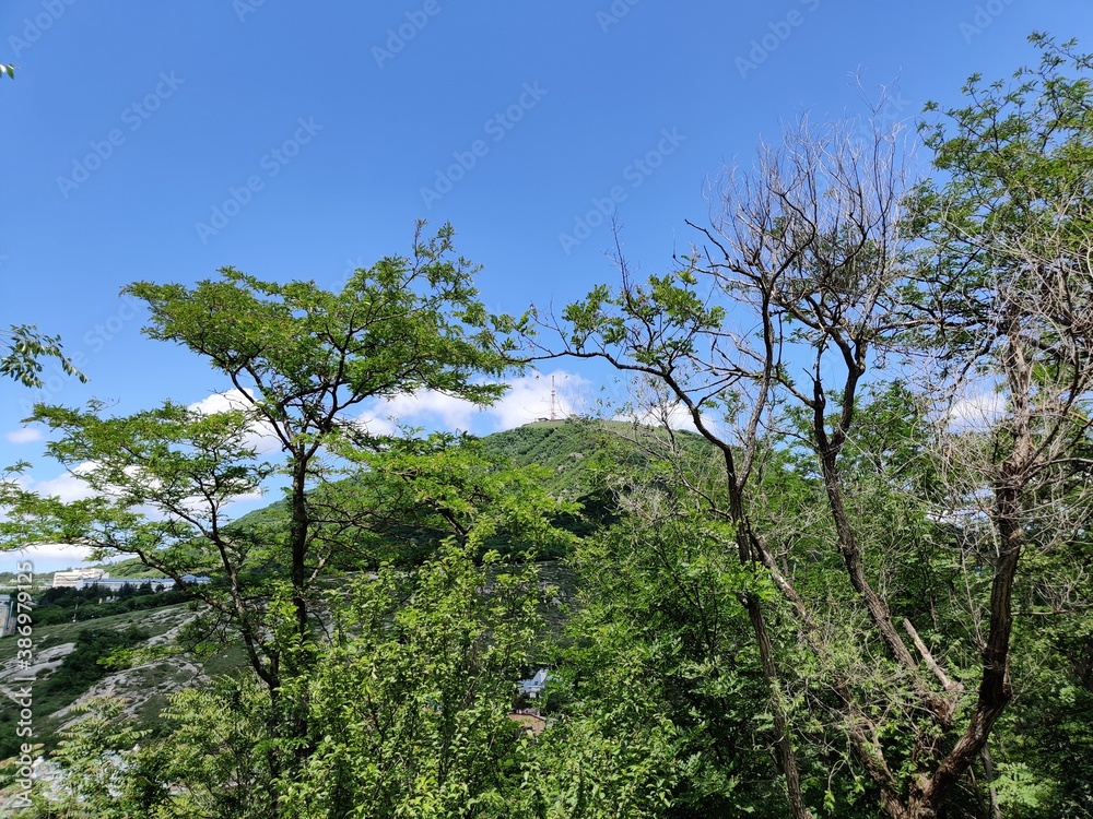 Fototapeta premium Pyatigorsk, Kislovodsk, mount Mashuk and Beshtau