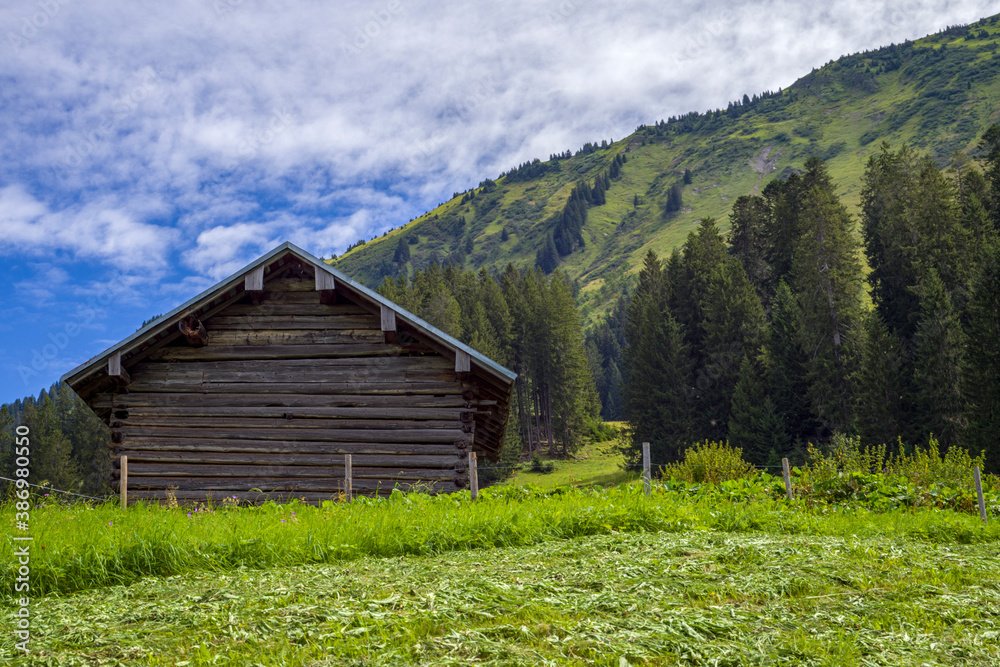alte Holzhütte in grüner Landschaft vor bewölktem Himmel
