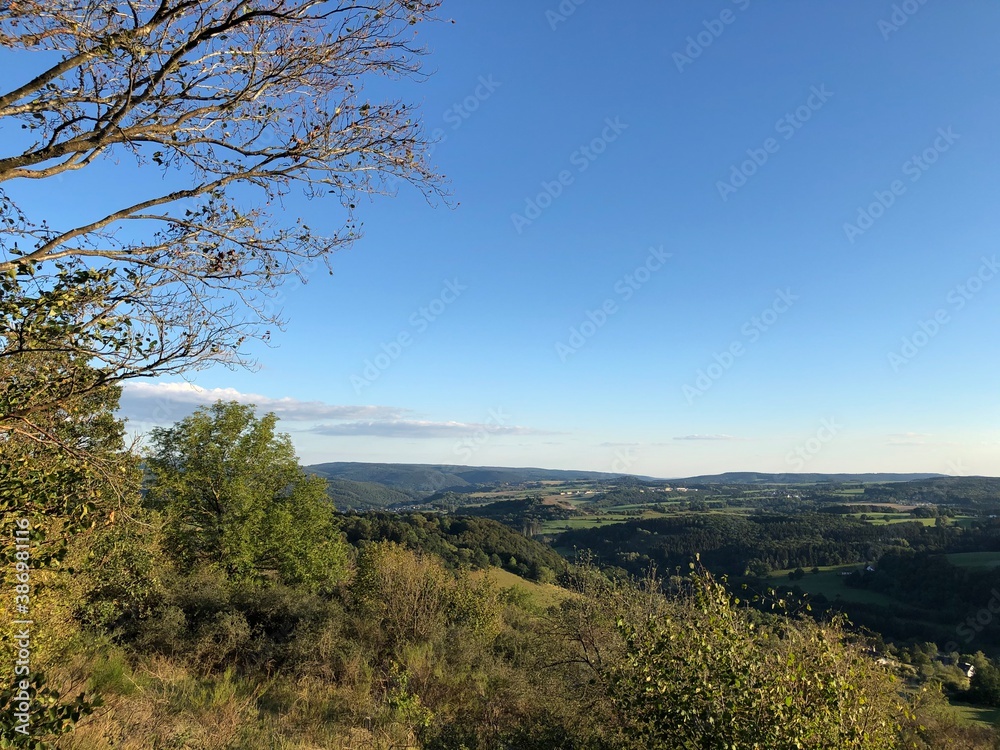 Obraz premium Waldlandschaft mit Himmel