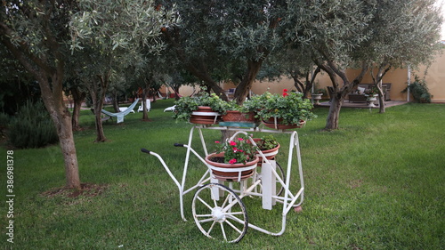 Agriturismo, verdi giardini