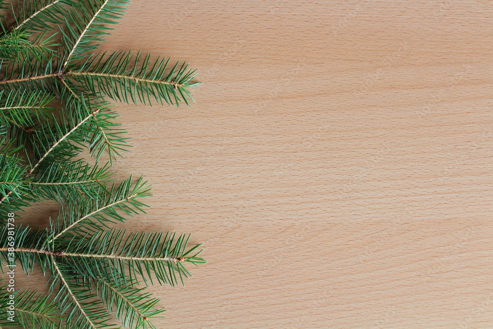 Hintergrund mit dem Zweig eines Nadelbaumes Hintergrund mit dem Zweig eines Nadelbaumes