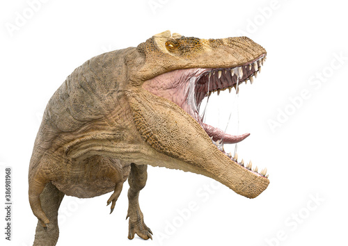 tyrannosaurus rex close up view © DM7