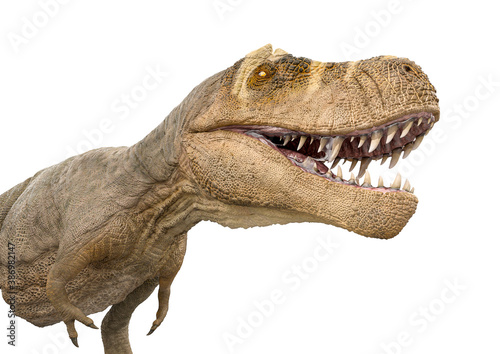 tyrannosaurus rex side view © DM7