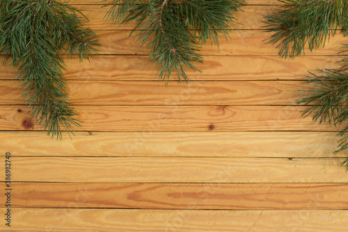 wooden pine background and branches of a christmas tree with green needles