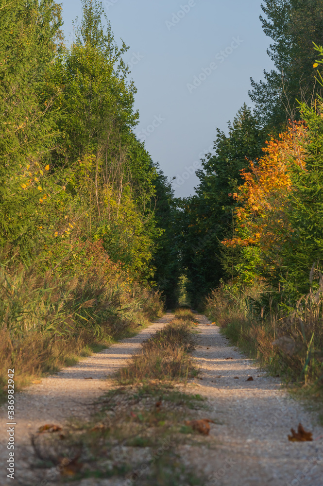 Hiking and cycling trail on former railway line 